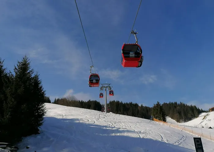 Christof,s Wild231 Apartmán Wildschoenau